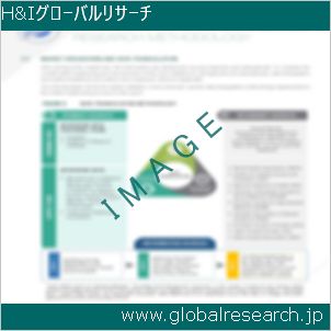 グローバルリサーチ調査レポートのイメージ